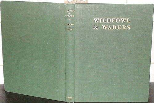 Wildfowl waders 1940 colour - &,