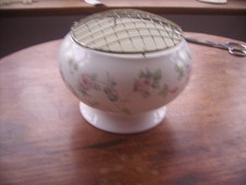 Wedgwood Rosehip Design Pose