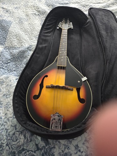 Mandolin redwood good - mandolin,