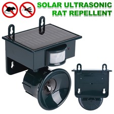 Solar Power Animal Bird Pigeon