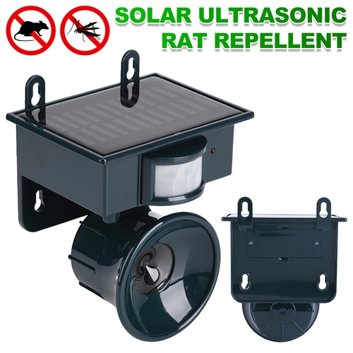 Solar power animal bird - power,