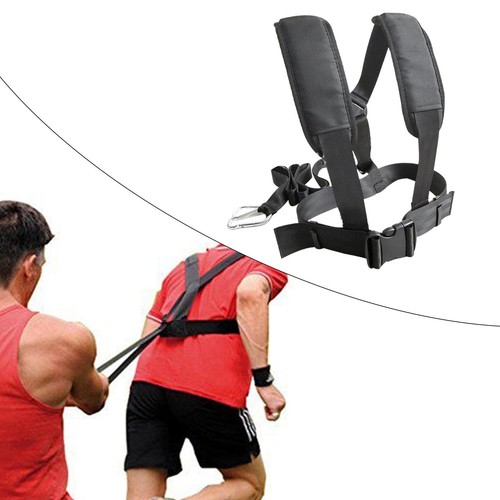 Tire pulling harness weight - tire,