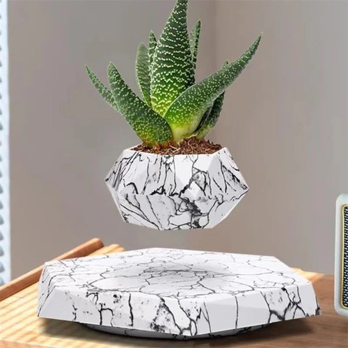 Magnetic levitating plant - levitating, pot