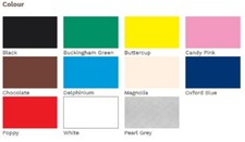 Rustins  Quick Dry Small Job Gloss Paint IndoorOutdoor  All Colours  250ML