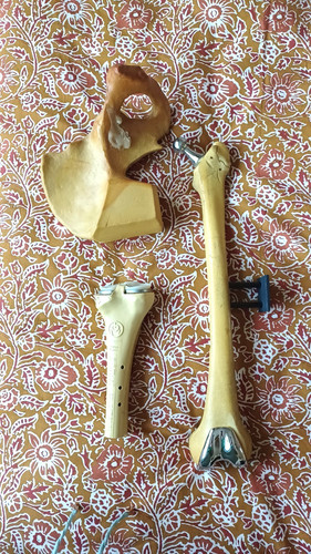 Replica human leg hip - replica, skeleton