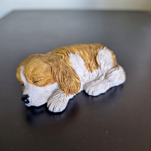 Regency dogs home - at,