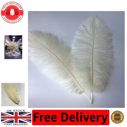 Luxurious ivory ostrich - luxurious,