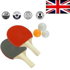 Indoor/Outdoor Table Tennis