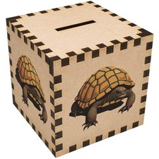'Wise Old Tortoise' Money Box / Piggy Bank (MB00105686)