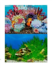 Aquarium fish tank - aquarium,