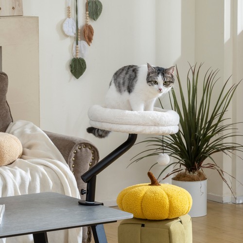Pawhut cat desk bed - pawhut, bed,