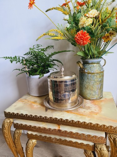 Antique tea caddy - caddy, victorian