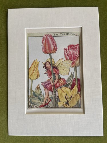 Tulip flower fairy - ‘tulip’,