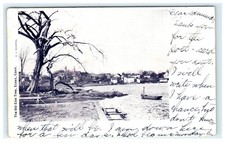 1904 The Old Elm Tree Essex CT