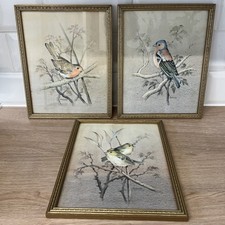 Wall Art Framed British Bird Prints - Maynard, c1970s - Set Of 3 - 22 X 27 Cms