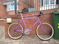 Raleigh Montage Retro Mountain