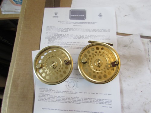 Excellent hardy alnwick gold - excellent,