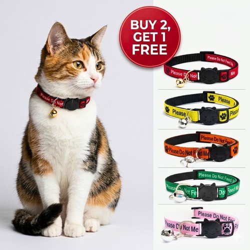 Cat collar with bell please - collar, bell,