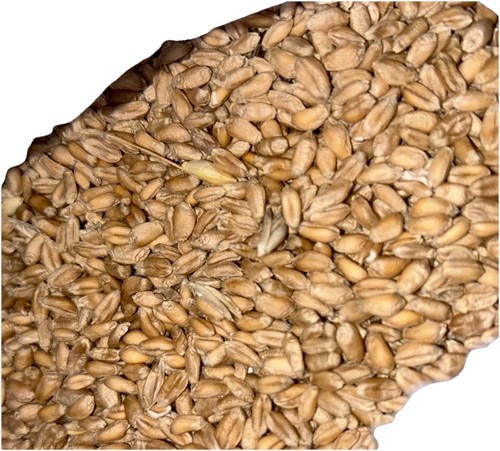 800g bag wheat filler - of,