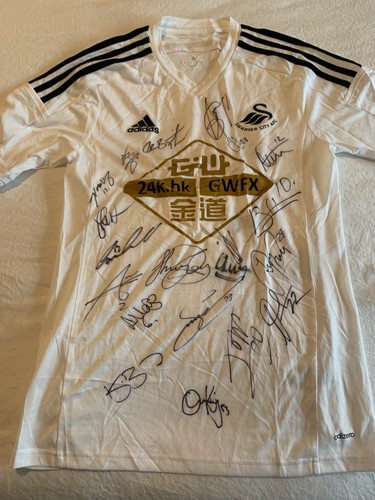 Swansea city premiere league - city,