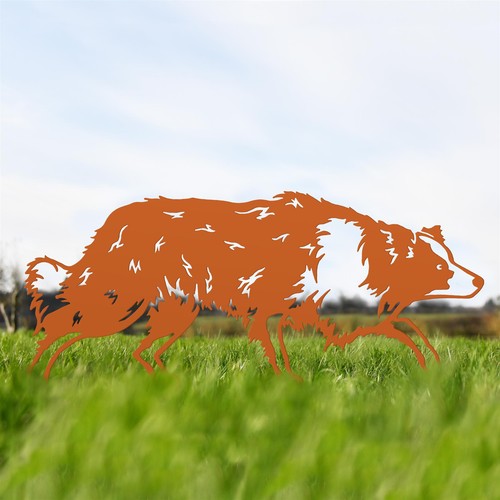 New steel border collie - steel,
