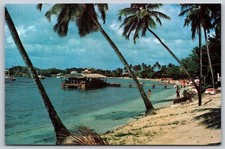 Kon Tiki Anse Mitan Beach