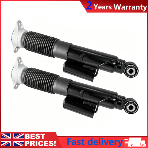 Rear shock absorbers - 2x,