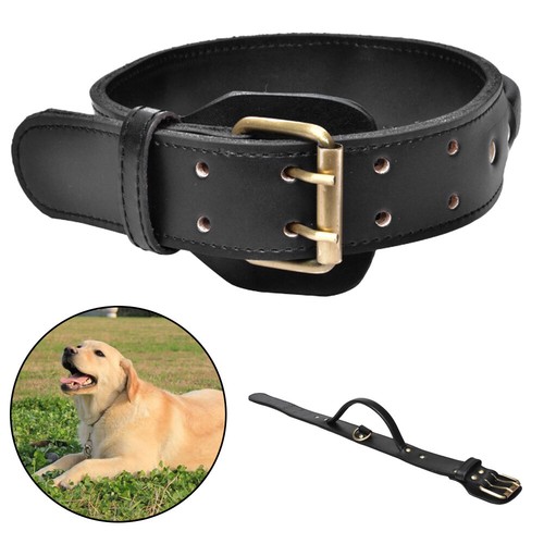 Heavy duty dog - dog, with