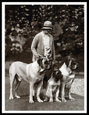 MASTIFF FAMOUS LADY BREEDER