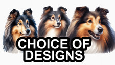 Shetland Sheepdog Self