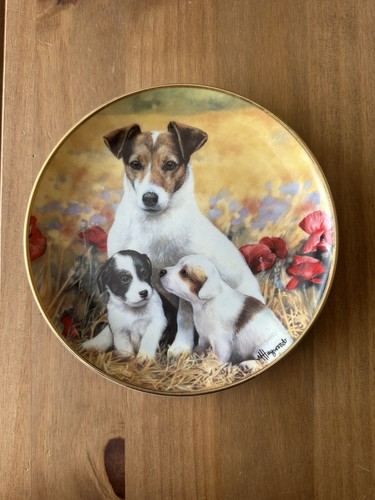 Danbury mint puppies - danbury, and