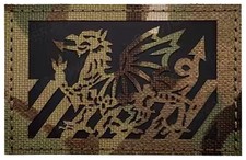 Welsh Military Official