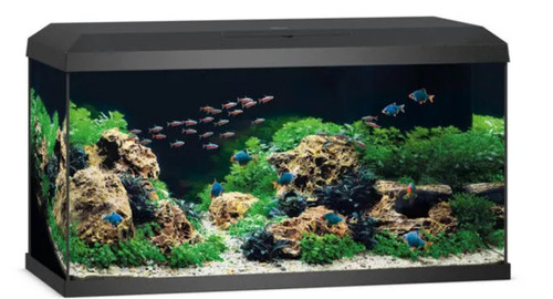 Juwel tropical coldwater - tropical,