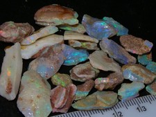 Nice Fossil Shell Opal Parcel 70cts Coober Pedy Australia Multicolour Skins NR