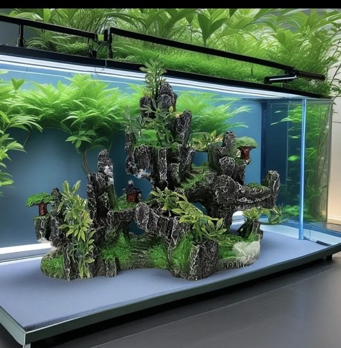 Aquarıum fish tank - aquarıum,