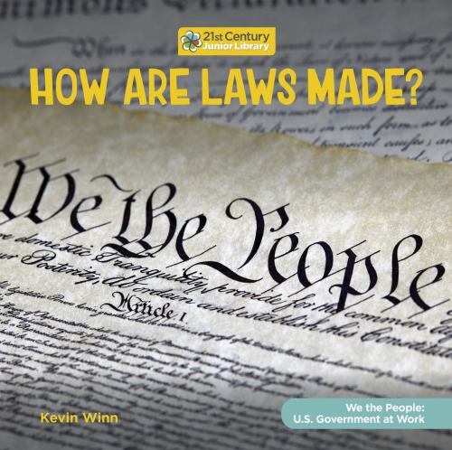 How are laws - made?, (21st