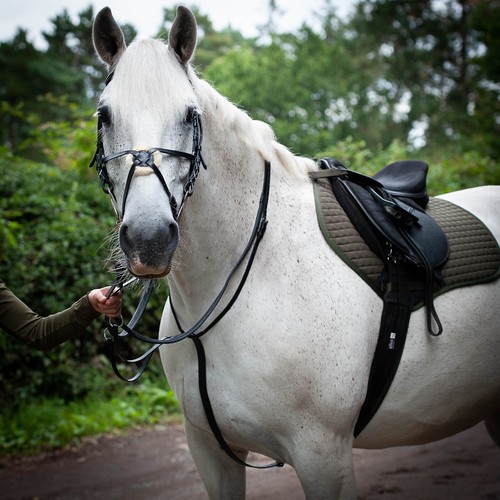 Leather running martingale - running,
