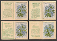 Kensitas Wix tobacco Medium