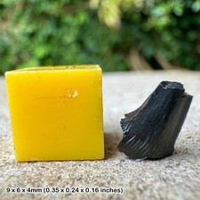 Authentic planohybodus