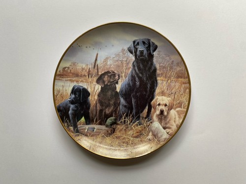 Labrador dogs plate - 'a, in