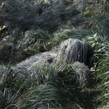 Doanas-Kids Outdoor Ghillie