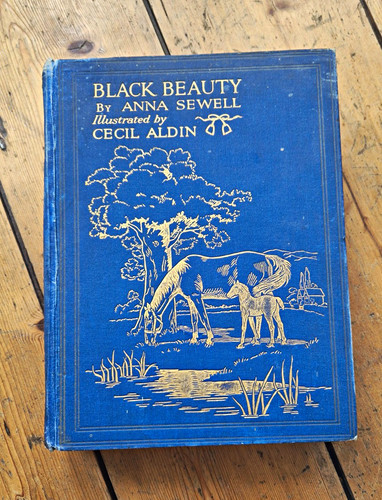 Black beauty anna - black,