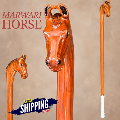 Marwari horse walking - marwari,