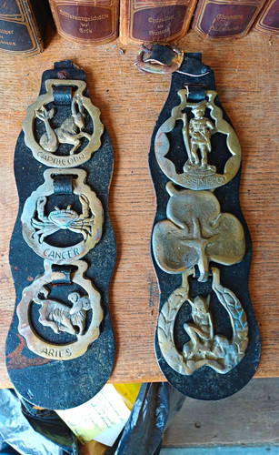 Brass horse brasses leather - horse, on