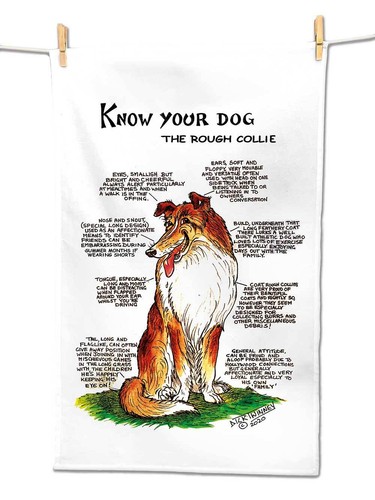 Rough collie tea - rough,