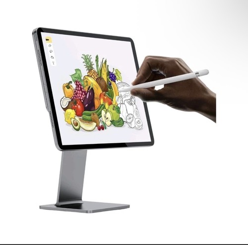 Invzi magfree magnetic ipad - magfree,