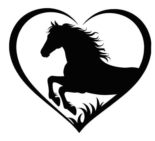 Horse box vinyl decal - horse, –