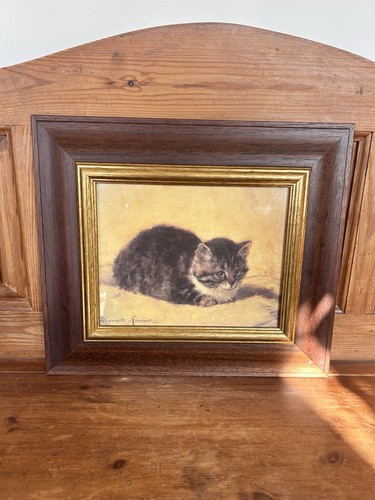 The parsons kitten - the,