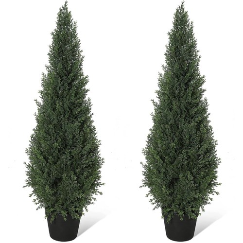 Set cedar tree plants pe - cedar, plants,pe