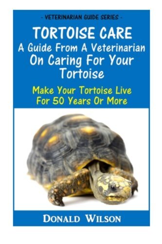 Tortoise care guide from a - :,